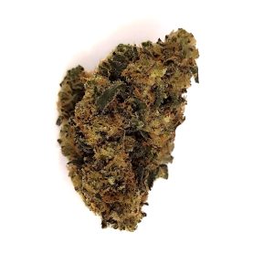 CRITICAL + CBD (MOLECULE)