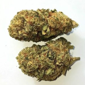 CRITICAL + CBD (MOLECULE)