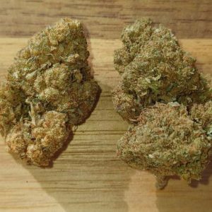 GELATO 41 CBD
