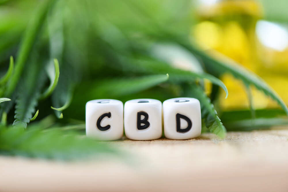 Lire la suite à propos de l’article Les Effets du CBD sur le Corps et l&rsquo;Esprit : Sportifs, Personnes du Quotidien et Seniors